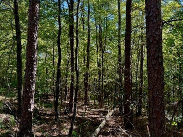 Listing 24