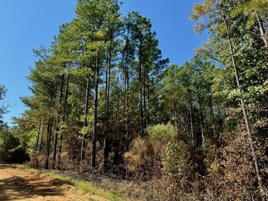 650 Acres Timberland and Lake Site Calhoun County MS