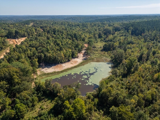 650 Acres Timberland and Lake Site Calhoun County MS