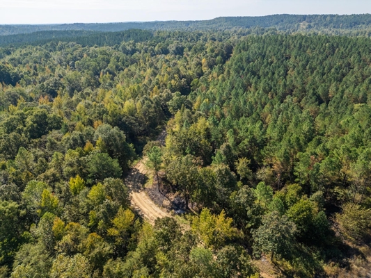 650 Acres Timberland and Lake Site Calhoun County MS