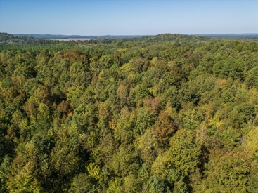 Listing 24
