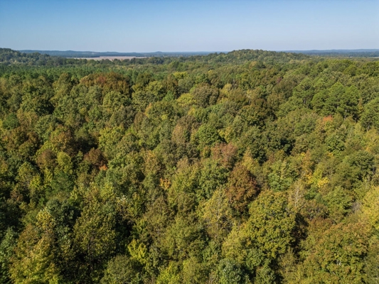 650 Acres Timberland and Lake Site Calhoun County MS