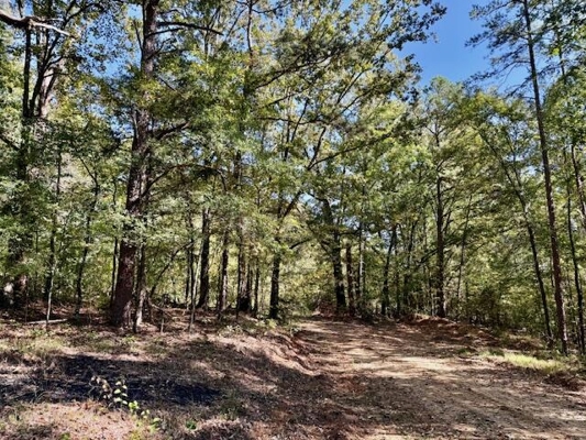 650 Acres Timberland and Lake Site Calhoun County MS