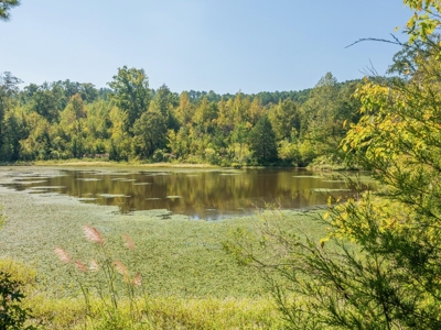 650 Acres Timberland and Lake Site Calhoun County MS - image 14