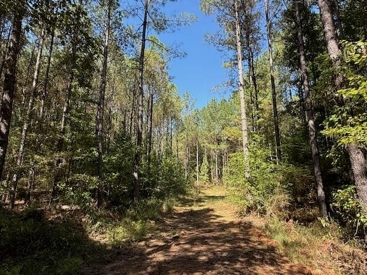 Listing 24
