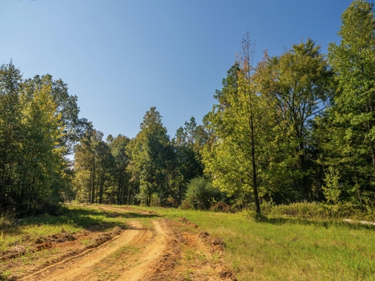 650 Acres Timberland and Lake Site Calhoun County MS