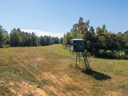 650 Acres Timberland and Lake Site Calhoun County MS