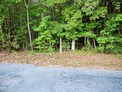 Longwood Landing: Live the Golf Course Dream! - image 12