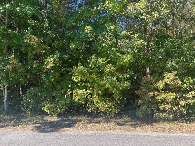 Longwood Landing: Live the Golf Course Dream! - image 8