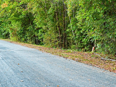 Longwood Landing: Live the Golf Course Dream! - image 11