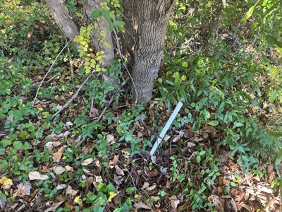 Longwood Landing: Live the Golf Course Dream! - image 6