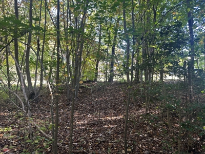 Longwood Landing: Live the Golf Course Dream! - image 9