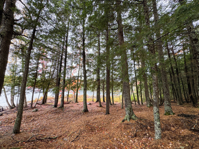 Rustic Style Maine Lakefront Camp - image 12