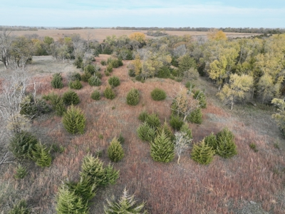 Beautiful Jewell County Kansas 80± - image 34