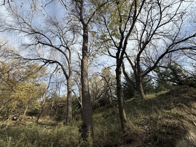 Beautiful Jewell County Kansas 80± - image 42
