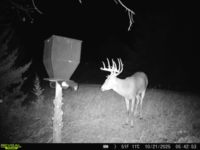 Beautiful Jewell County Kansas 80± - image 4