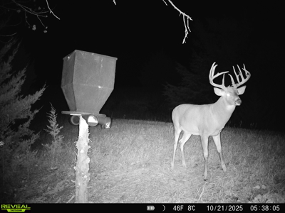 Beautiful Jewell County Kansas 80± - image 6