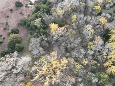 Beautiful Jewell County Kansas 80± - image 27