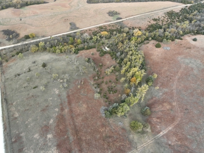 Beautiful Jewell County Kansas 80± - image 12