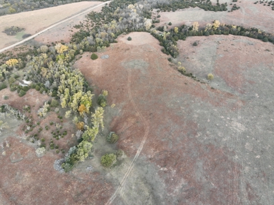 Beautiful Jewell County Kansas 80± - image 11