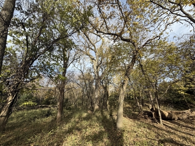Beautiful Jewell County Kansas 80± - image 43