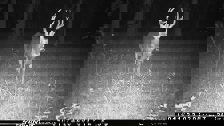 Beautiful Jewell County Kansas 80± - image 9