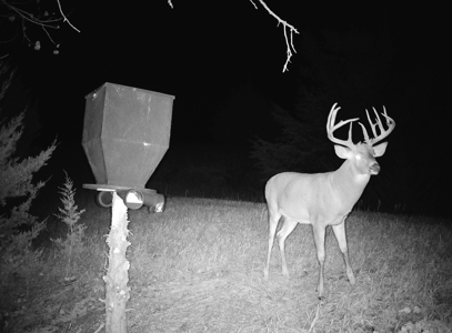Beautiful Jewell County Kansas 80± - image 1