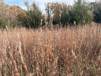 Beautiful Jewell County Kansas 80± - image 38