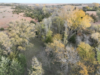 Beautiful Jewell County Kansas 80± - image 35