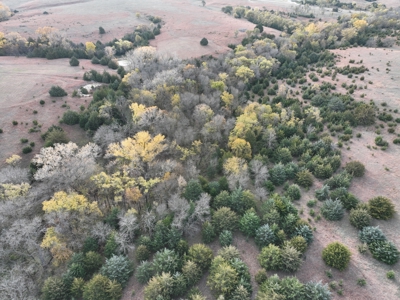 Beautiful Jewell County Kansas 80± - image 26