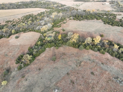 Beautiful Jewell County Kansas 80± - image 32