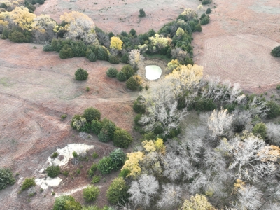 Beautiful Jewell County Kansas 80± - image 29