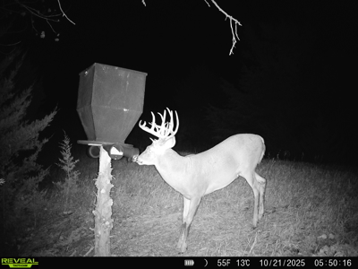 Beautiful Jewell County Kansas 80± - image 3