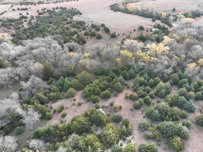 Beautiful Jewell County Kansas 80± - image 24