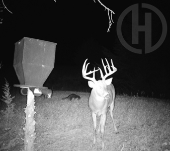 Beautiful Jewell County Kansas 80± - image 49