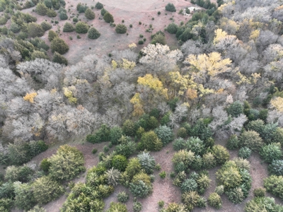 Beautiful Jewell County Kansas 80± - image 25