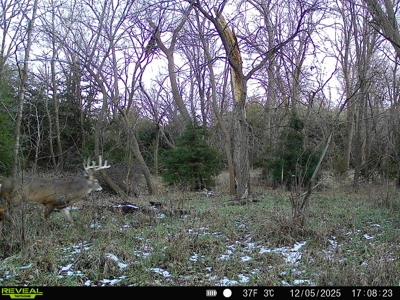 Beautiful Jewell County Kansas 80± - image 48