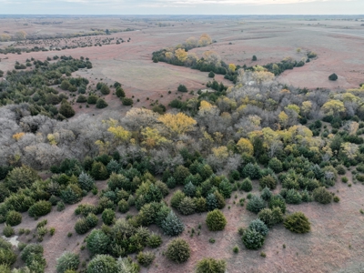 Beautiful Jewell County Kansas 80± - image 23