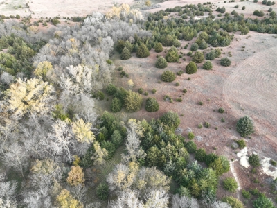 Beautiful Jewell County Kansas 80± - image 31