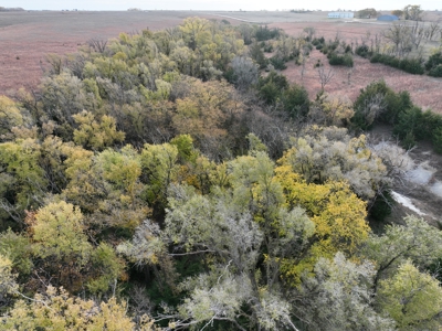 Beautiful Jewell County Kansas 80± - image 36