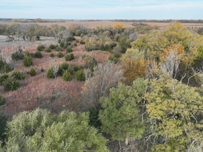 Beautiful Jewell County Kansas 80± - image 33