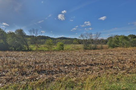 22.34 Acres of Driftless Region Recreational Paradise – Richland - image 14