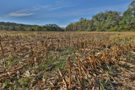 22.34 Acres of Driftless Region Recreational Paradise – Richland - image 12