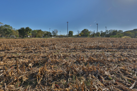 22.34 Acres of Driftless Region Recreational Paradise – Richland - image 13