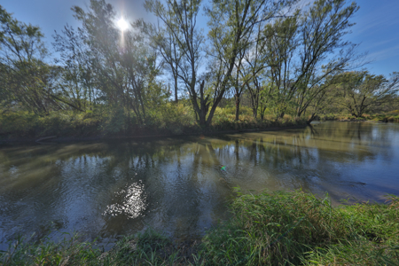 22.34 Acres of Driftless Region Recreational Paradise – Richland - image 9