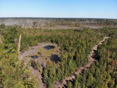 98 ac property offers a perfect mix of accessibility & seclusion - image 6