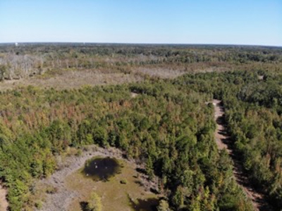 98 ac property offers a perfect mix of accessibility & seclusion - image 4