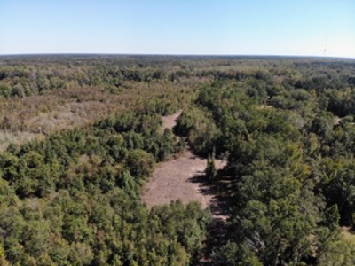 98 ac property offers a perfect mix of accessibility & seclusion - image 9