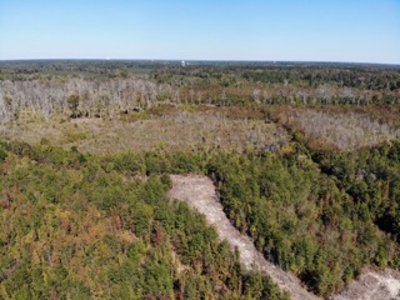 98 ac property offers a perfect mix of accessibility & seclusion - image 10