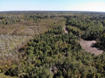 98 ac property offers a perfect mix of accessibility & seclusion - image 7